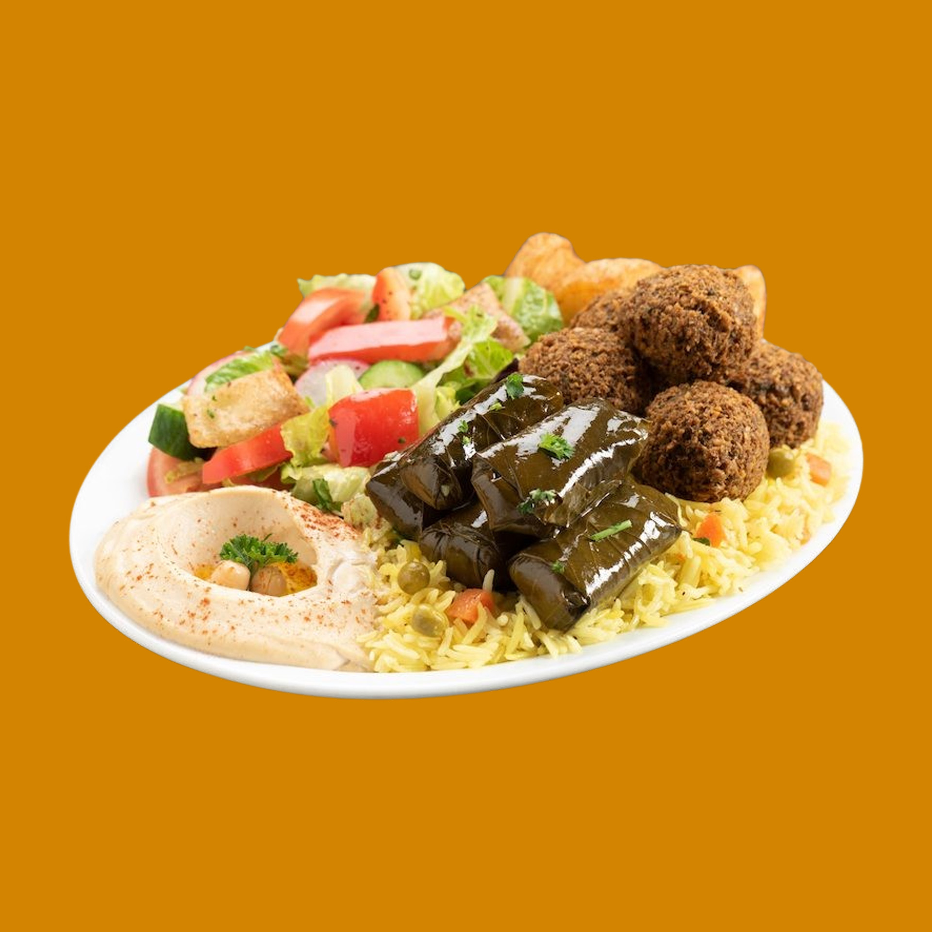 Vegetarian Shawarma Plate