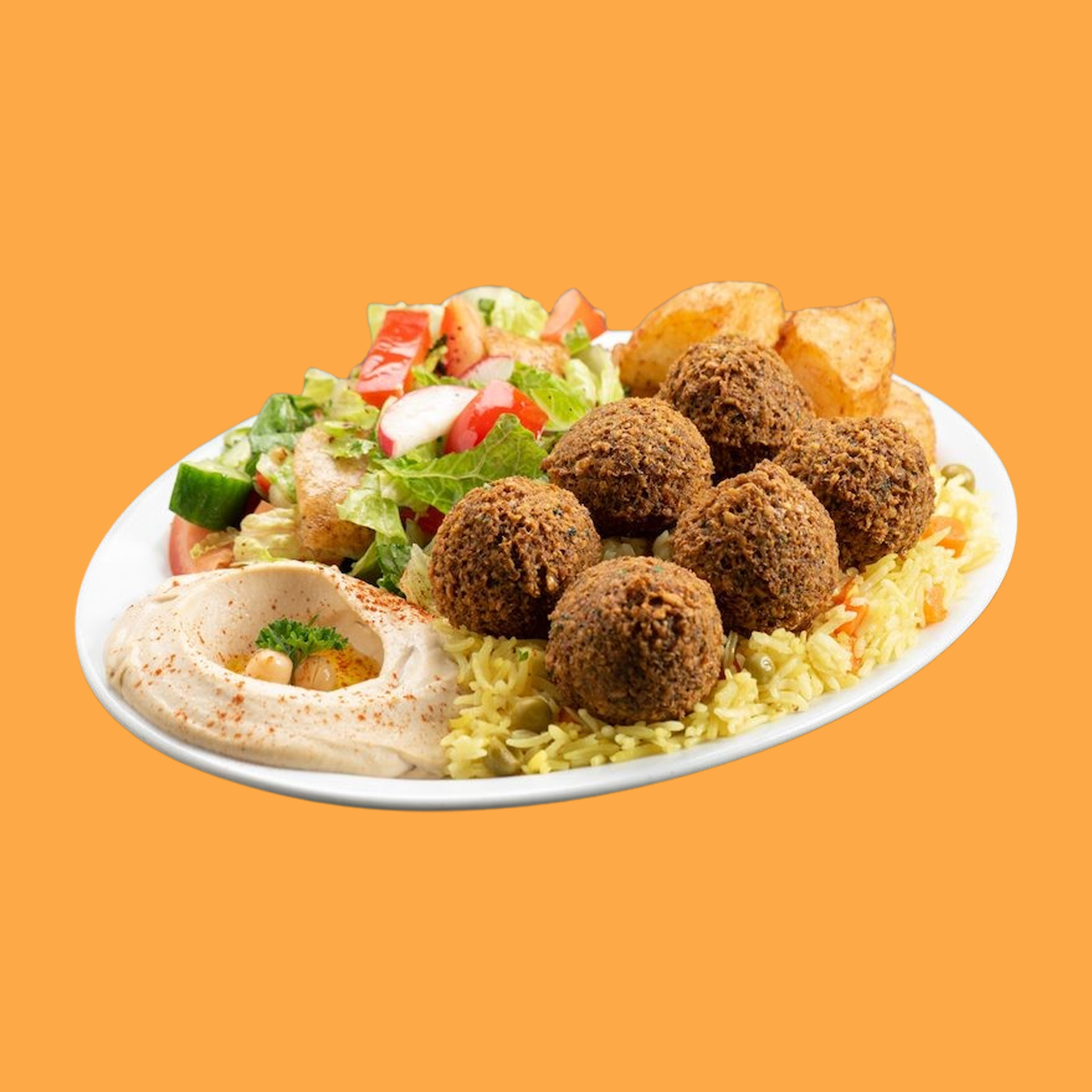 Falafel Patties Plate